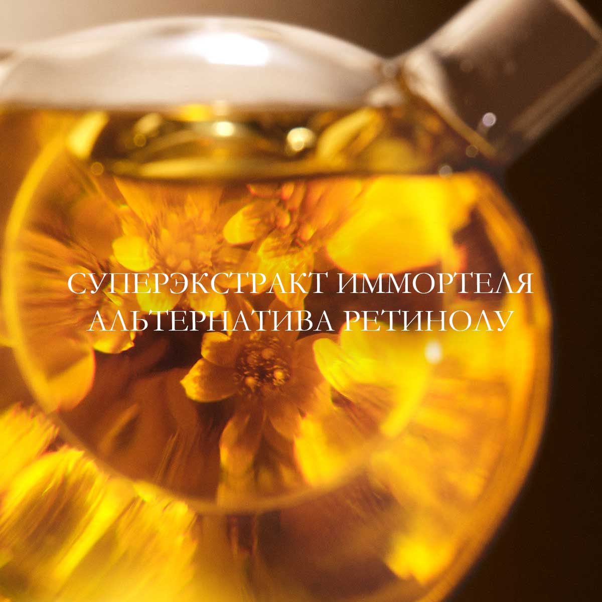 Yuz uchun “Immortelle Divine” kremi