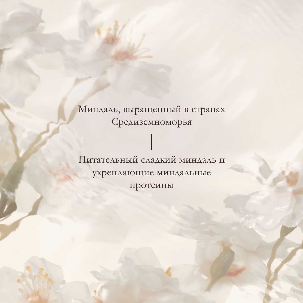 Концентрированное молочко для тела Миндаль