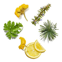 Anti_Hair_Loss_Range Featured Ingredient - L'Occitane