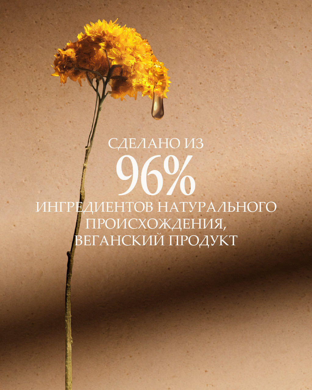 Tana uchun Immortelle Divine mustahkamlovchi yog‘i