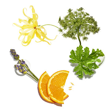 Featured Ingredient - L'Occitane