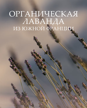 Туалетная вода Lavande