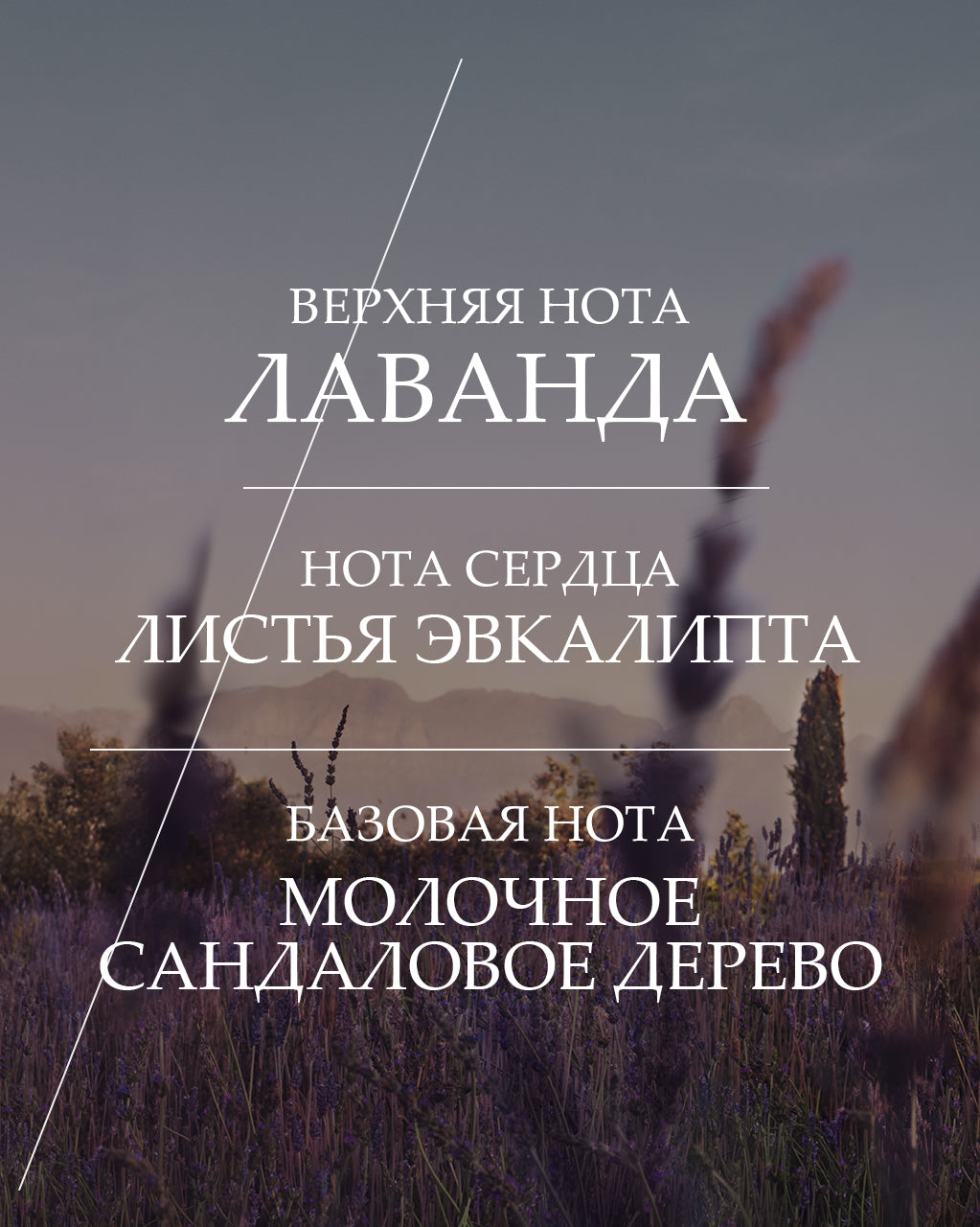 Туалетная вода Lavande
