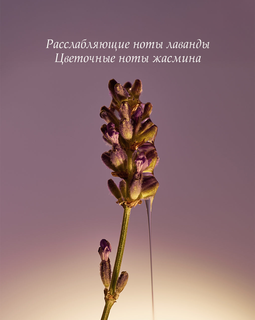 Lavanda qo‘l uchun suyuq sovun