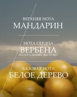 Verveine Agrumes iforlantirilgan suv