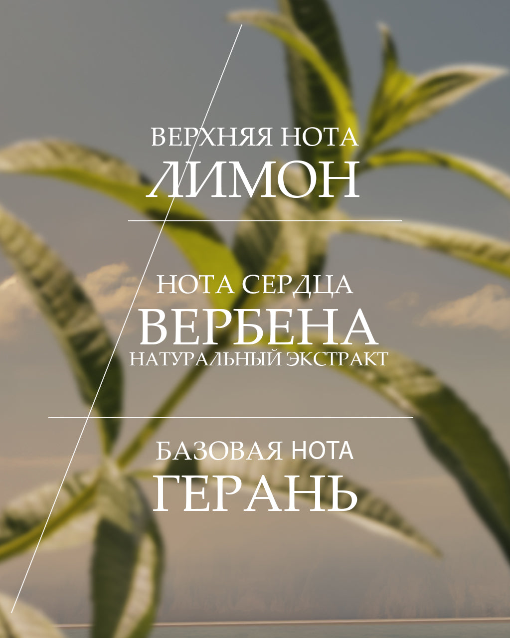 Туалетная вода Verveine
